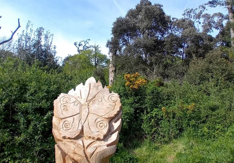a wood carving from a fallen tree